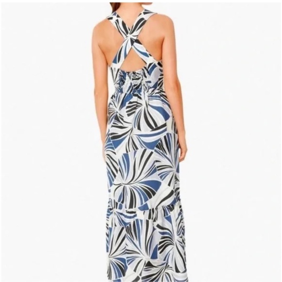 Tuckernuck Blue and White Maxi Dress - Picture 2 of 5